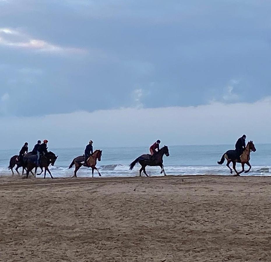 L'Escale A Deauville Eksteriør bilde